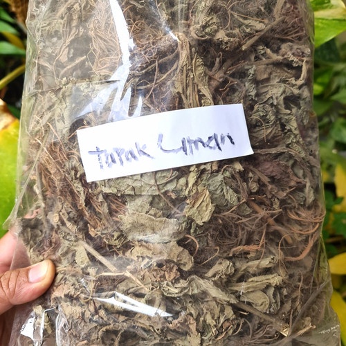 

TERBAIK JAMU DAUN TAPAK LIMAN KERING HERBAL -1 KG