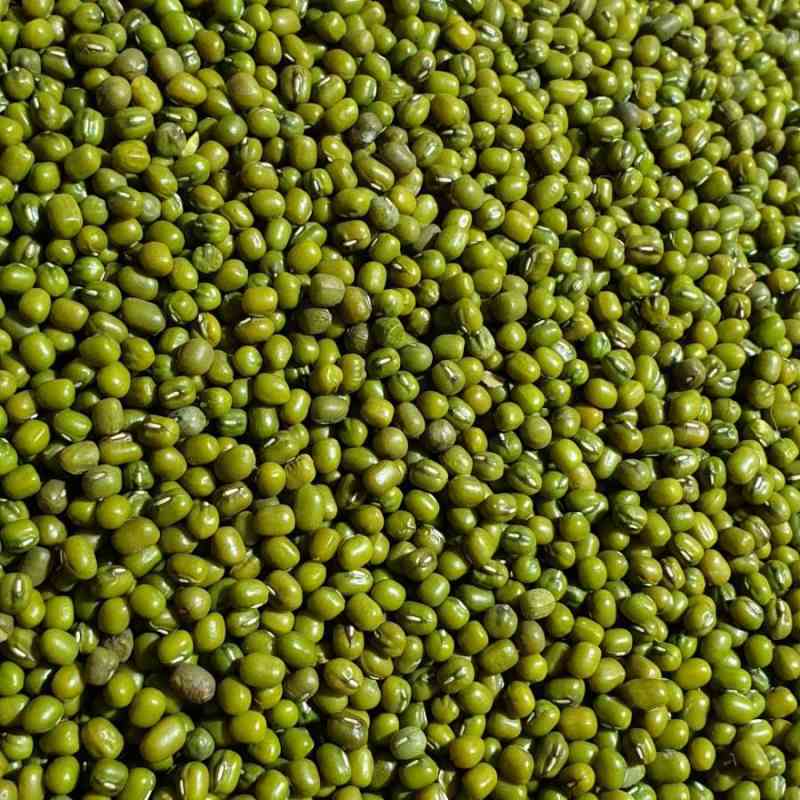 

Kacang Hijau Autralia Kemasan 1 Kg Kualitas Super