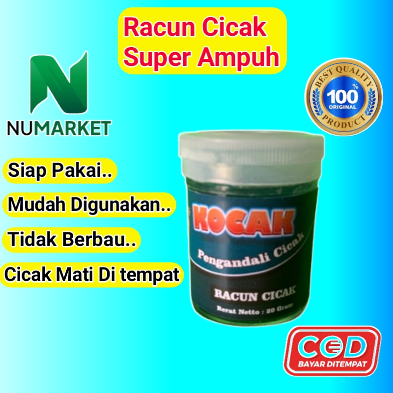 Racun Obat Pembasmi Cicak Paling Ampuh Original Asli