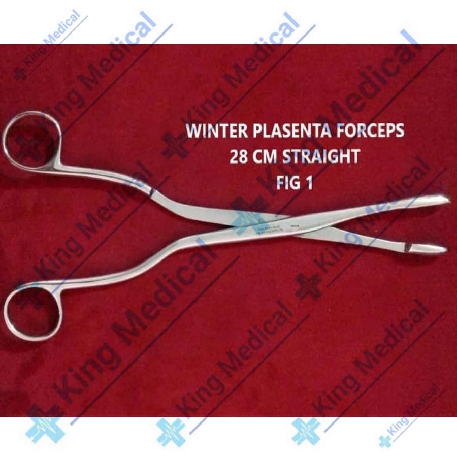 Winter Placenta Ovum Forcep 28cm Premium Quality