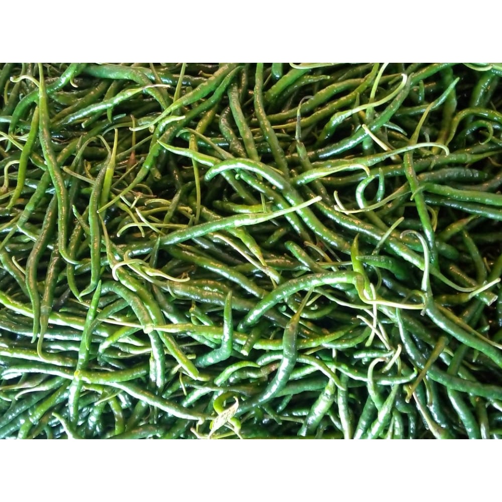 CABAI KERITING HIJAU FRESH