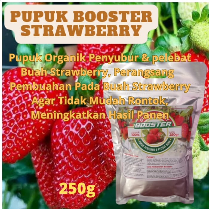 Booster Strawberry Organik,Pupuk Organik Perangsang buah strobery agar cepat berbuah lebat