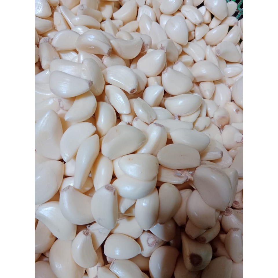 

BAWANG PUTIH KUPAS FRESH