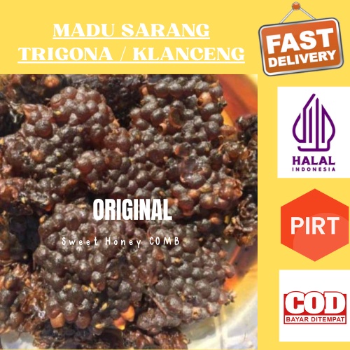 

Madu kesehatan lebah sarang trigona original beekeeping murni madu asli madu alami madu mentah