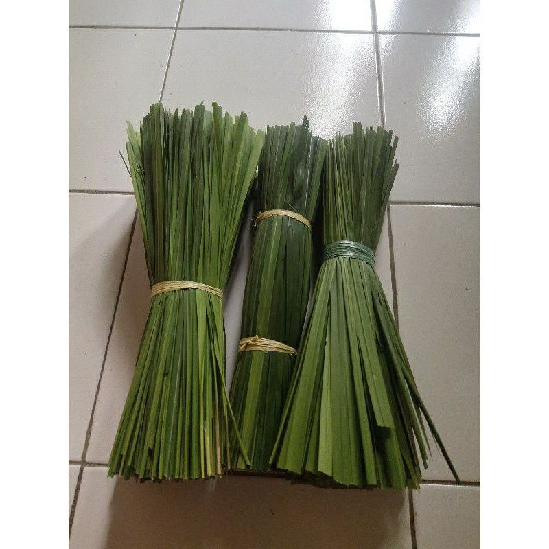 

DAUN ALANG ALANG DAUN RUMPUT ILALANG SEGAR 250 GRAM