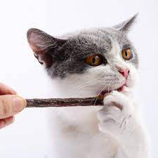 Catnip STICK Snack Kucing - Catnip Murni Natural - Cat Pet Toys