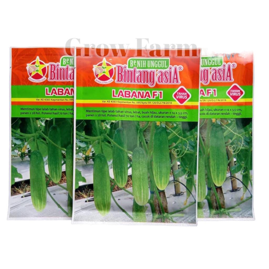 Benih Bibit Timun Labana f1 / Wulan F1 Panah Merah Bintang Asia 20 Gram