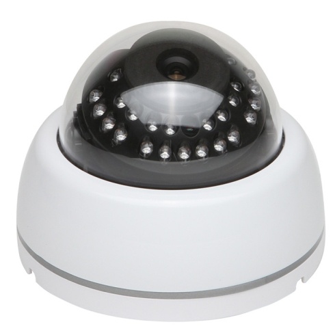Kamera CCTV Dome Glass Plastik SONY 700TVL 30 IR [J230]