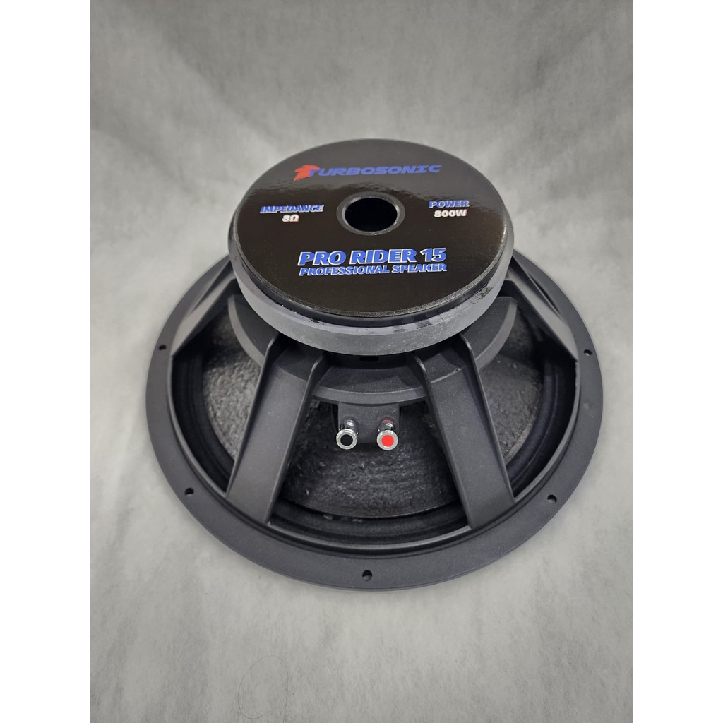 speaker 15 inch pro rider 800 watt turbosonic Prorider BABET outdoor - HARGA PROMO