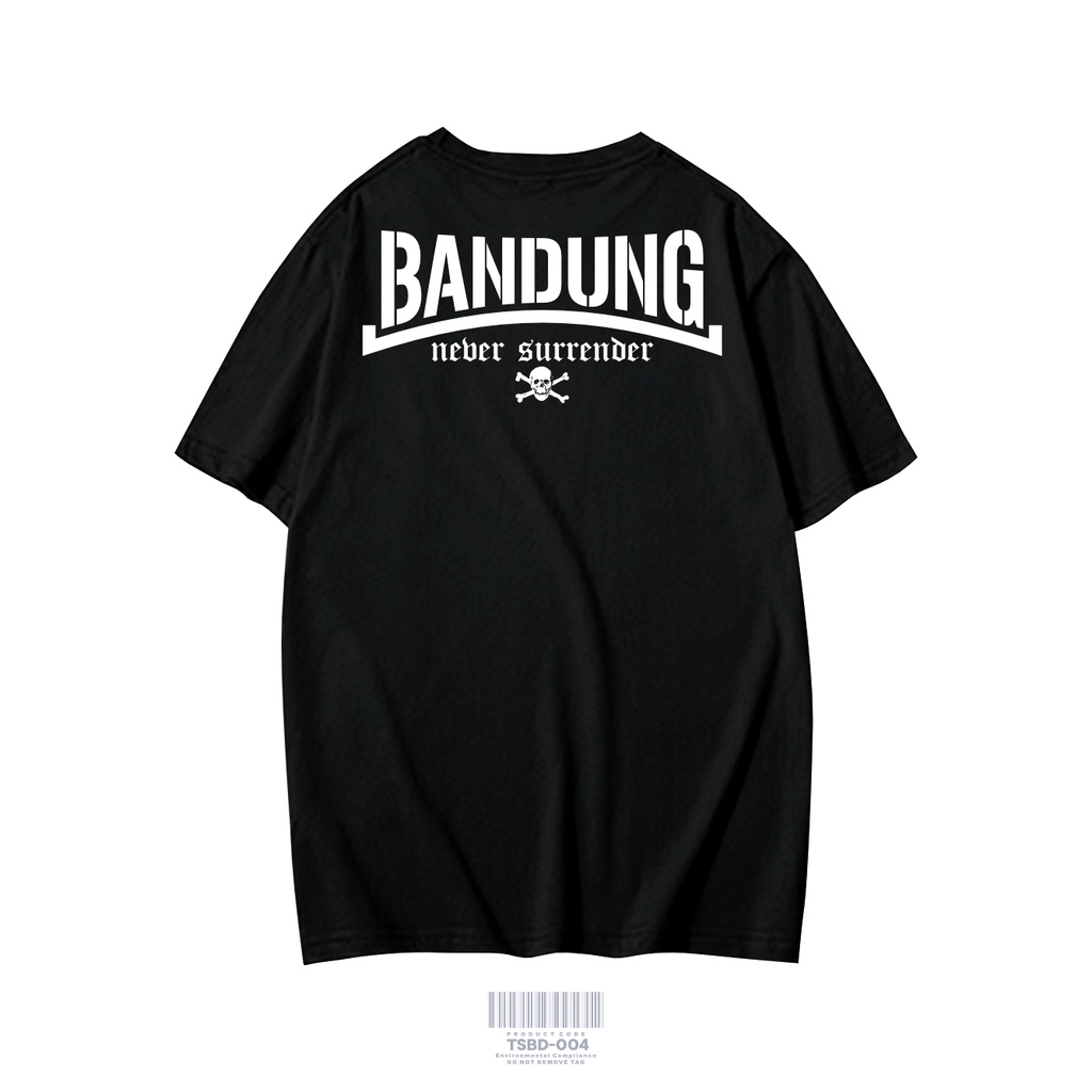 KAOS PERSIB SERIES VOL 1 BANDUNG NEVER SURRENDER KAOS PAKAIAN PRIA TERBARU