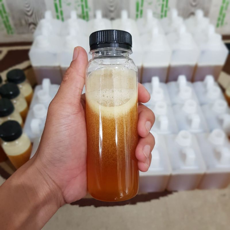 

Madu Lebah Asli 250 gram