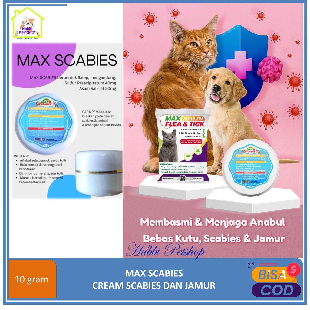 MAX SCABIES Salep obat infeksi kulit kucing mengobati jamur koreng luka kudis kurap