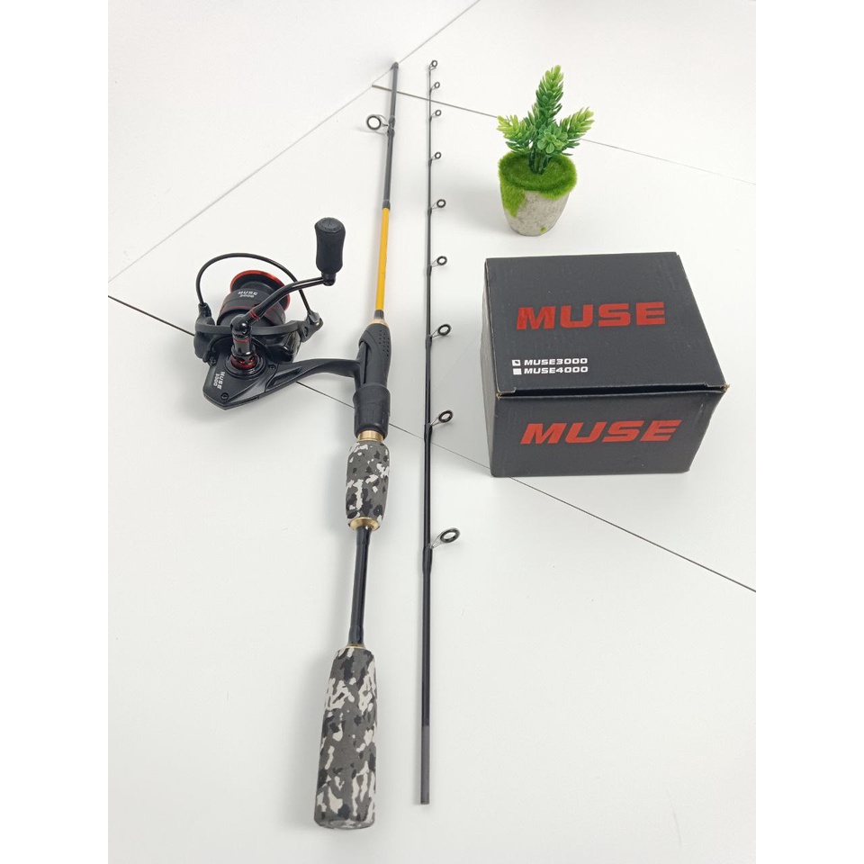 Joran Koinobori Heiki dan Reel Lizard Muse