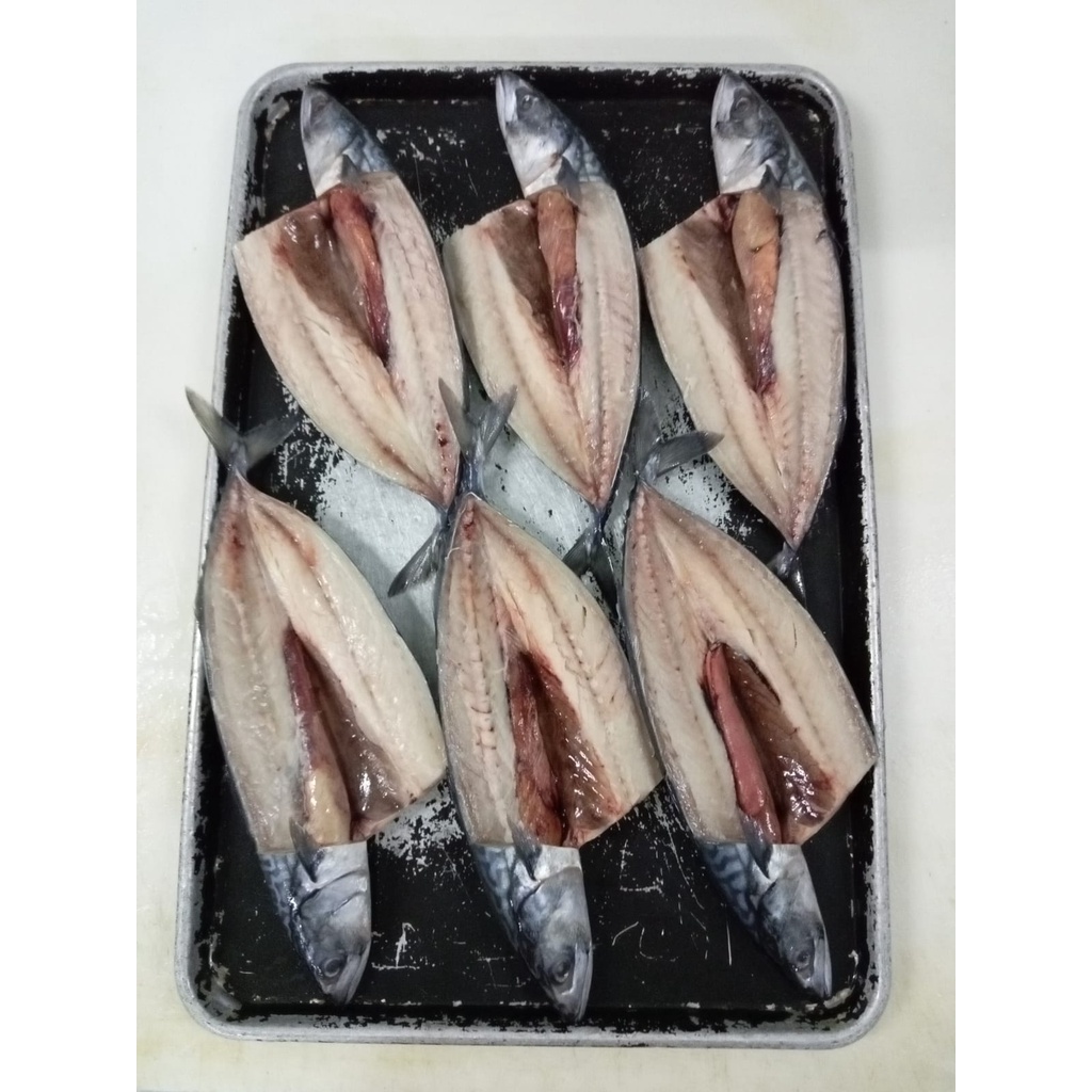 Ikan Saba Whole Norwegian Import / Ikan Saba Mackarel Whole Import 1kg