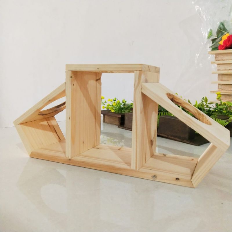 Rak Kayu Tanaman Kaktus