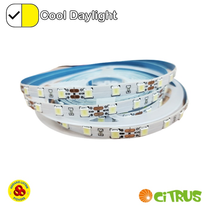 Citrus LED Strip 5054 White CDL IP33 12V Flexible Strip Putih 5 Meter