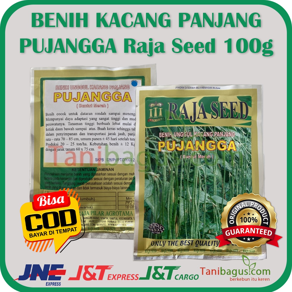 BENIH KACANG PANJANG PUJANGGA (Buntut Merah) Raja Seed 100gr- 500gr