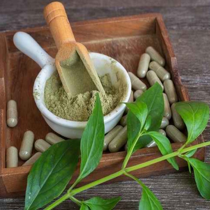 

Sambiloto Bubuk Rempah Jamu Herbal Tradisional Demam Dan Radang