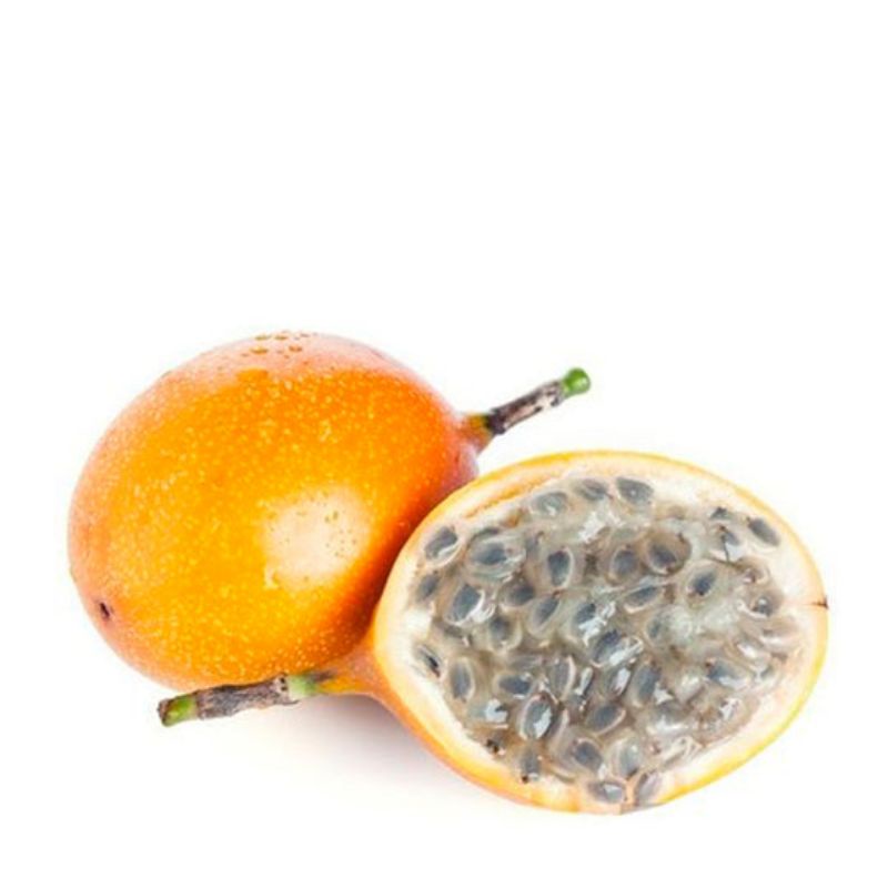 benih biji markisa madu markisa manis