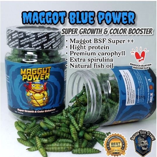 MAGGOT BLUE PIGMENT BOOSTER IKAN CHANNA & IKAN PREDATOR