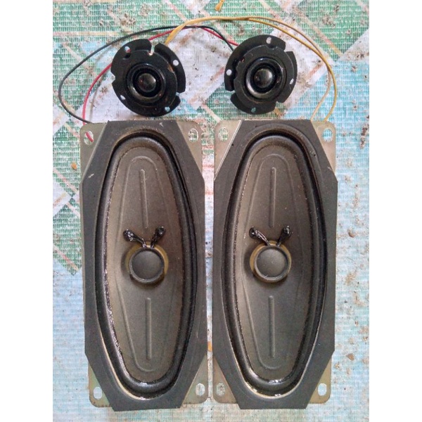 SPEAKER TV POLYTRON original