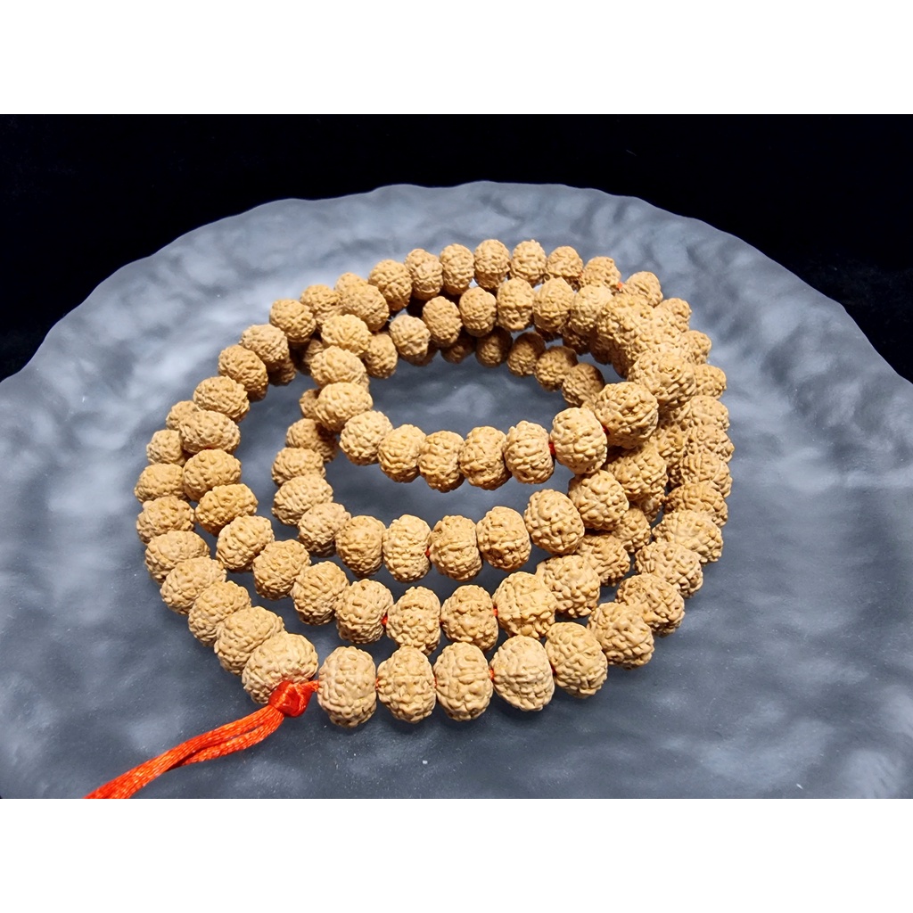 Kalung Tasbih Diamond Bodhi Seed Rudraksha 8 Mukri Nepal HQ 9mm P147
