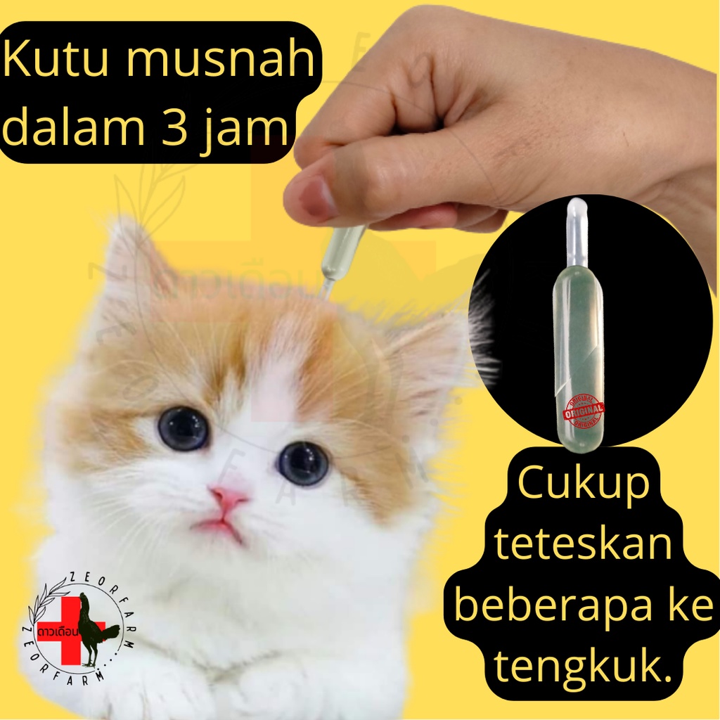 obat kutu kucing anjing spray elmai zeorfarm