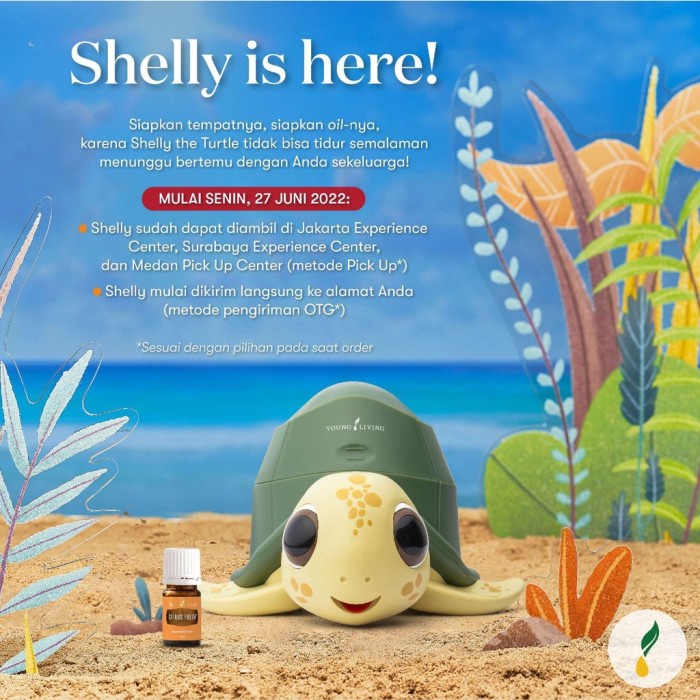 Produk Terbaru Shelly The Turtle Diffuser