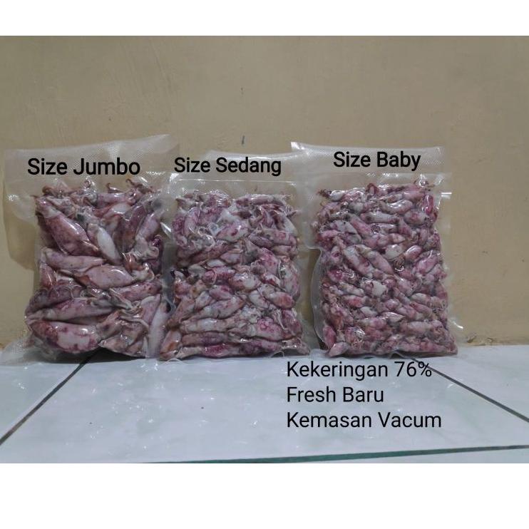 

➨ Sotong / Cumi / Cumi Asin / Cumi Rebus 500 Gram Size Jumbo|Sedang|Baby ◙