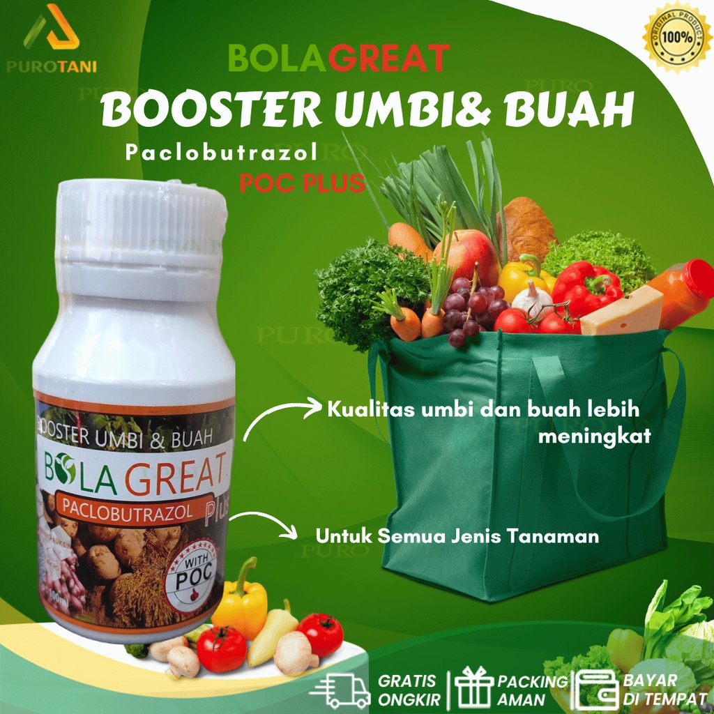 Booster buah dan umbi untuk tanaman buah paclobutrazole