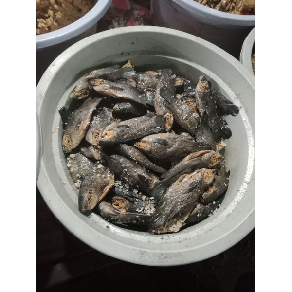 

ikan/iwak pepuyu wadi/bekasam per 250gr