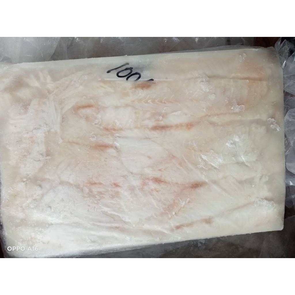 

fillet ekor kuning
