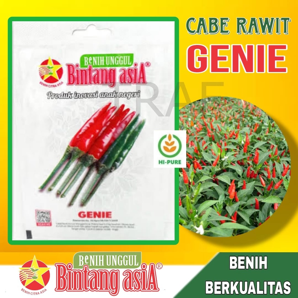 Benih Cabe Rawit GENIE 2 gram Cap Bintang Asia Tipe Tegak Buah Pedas Merah Menyala