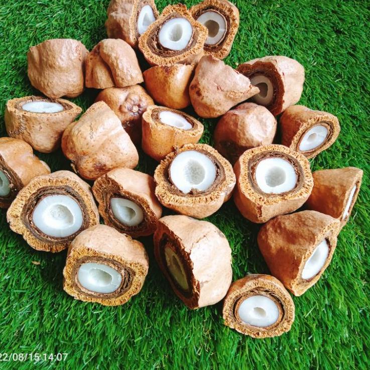 

❤[PROMO ⚡ALE!!!]❤ buah zuriat mesir promil belah 1 kg free tesk pack