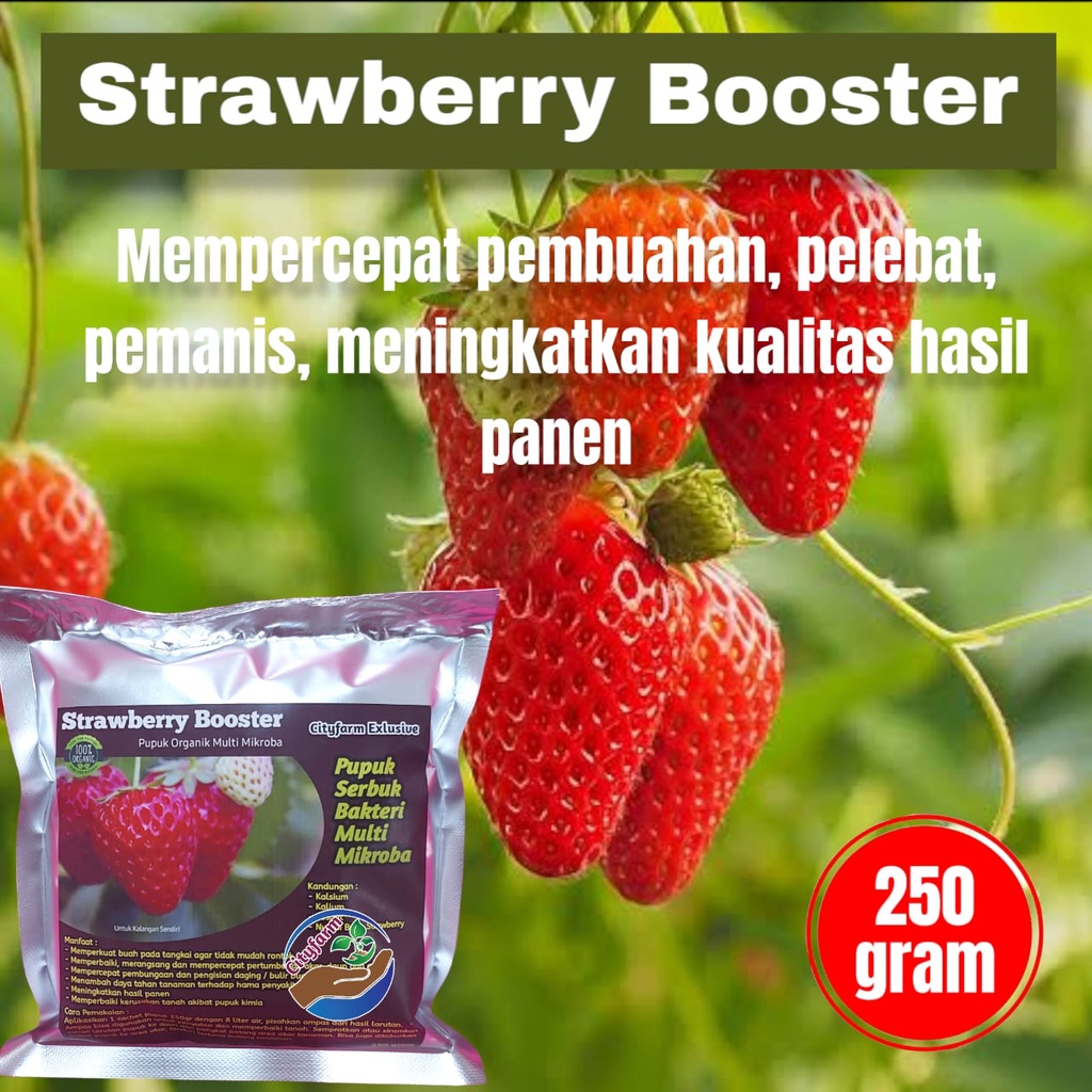 Pupuk Booster Strawberry Pelebat Buah Dan Anti Rontok 250gr