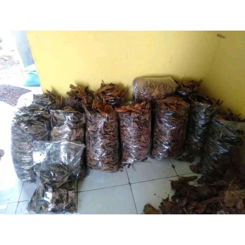 DAUN KETAPANG LAUT SUPER OLAHAN 1KG (TANPA TULANG)
