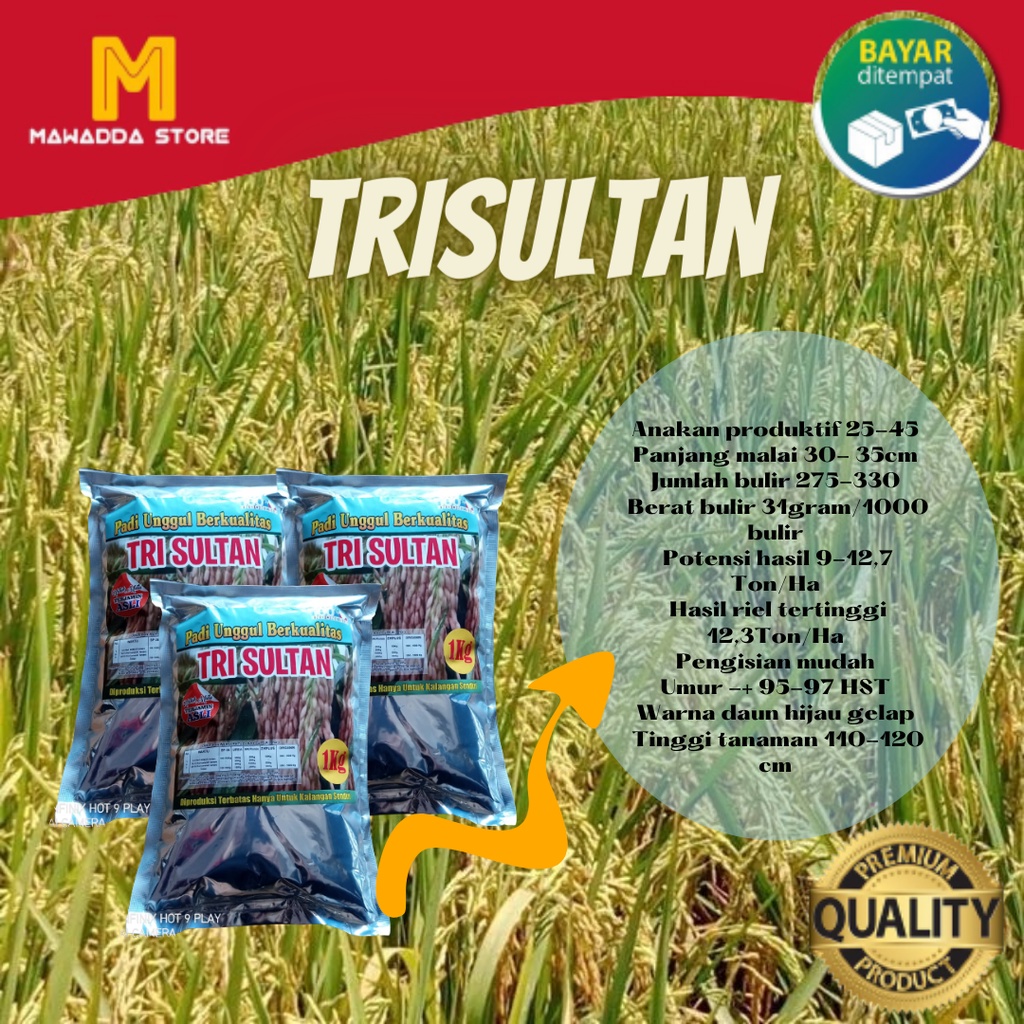 Benih Padi Tri Sultan / Trisultan Bibit PREMIUM 1KG