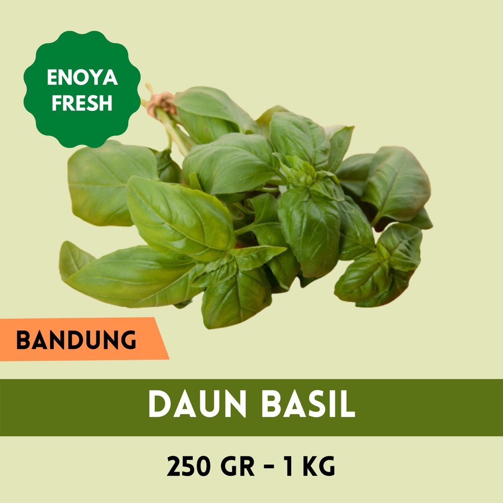 

Basil 250 gram - 1 kg Bandung