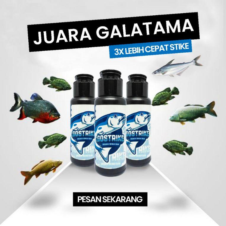 RECOMENDED Essen Pancing GO Strike