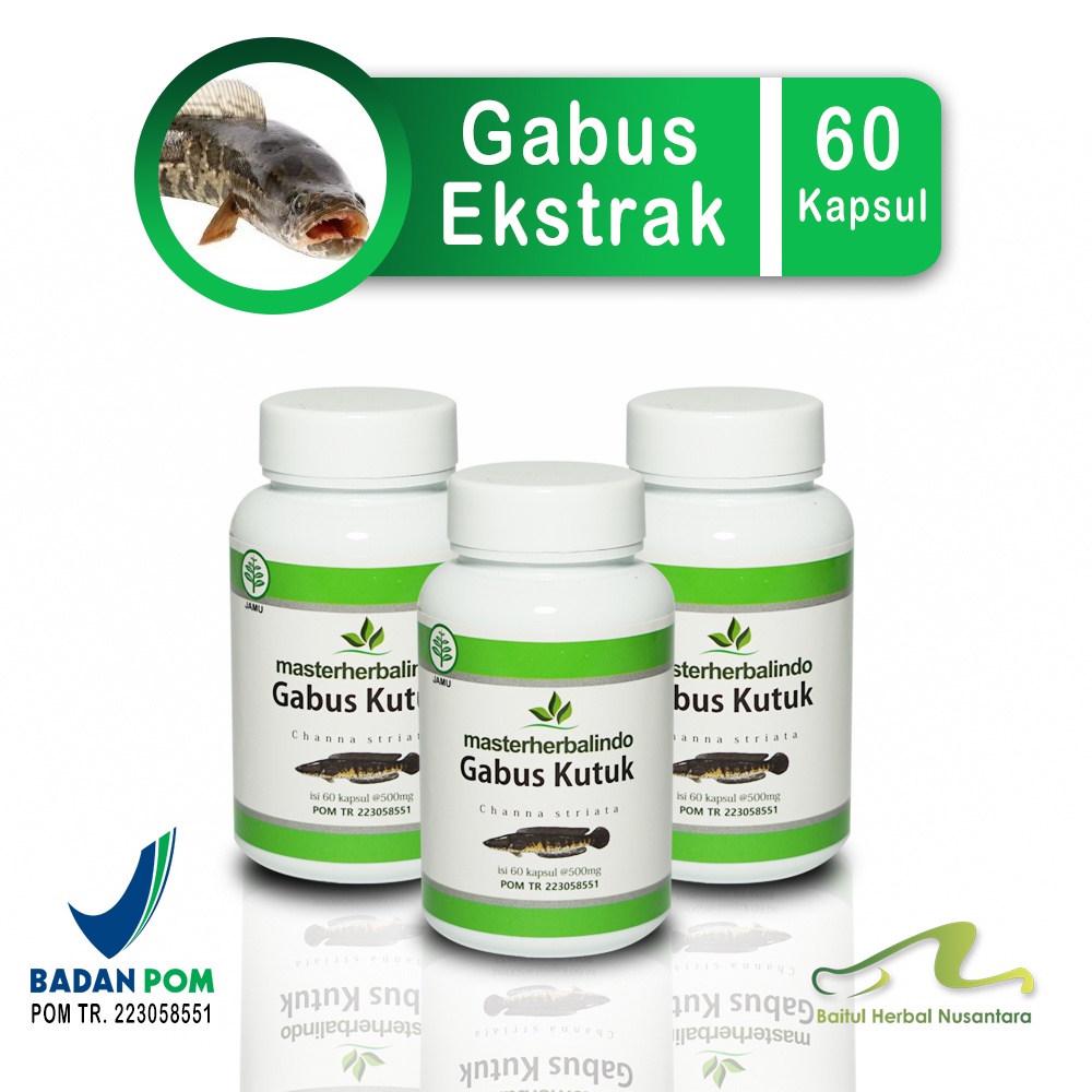 

Kapsul Herbal Gabus Kutuk ekstrak Untuk Luka Mata Tulang Gigi Diabetes Hepatitis Pertumbuhan Otot