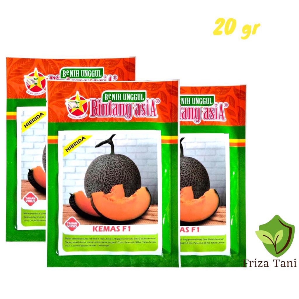 Benih Bibit Melon KEMAS F1 20gr Bintang Asia PT. Benih Citra Asia Tahan Virus Gemini Rock Melon Dagi