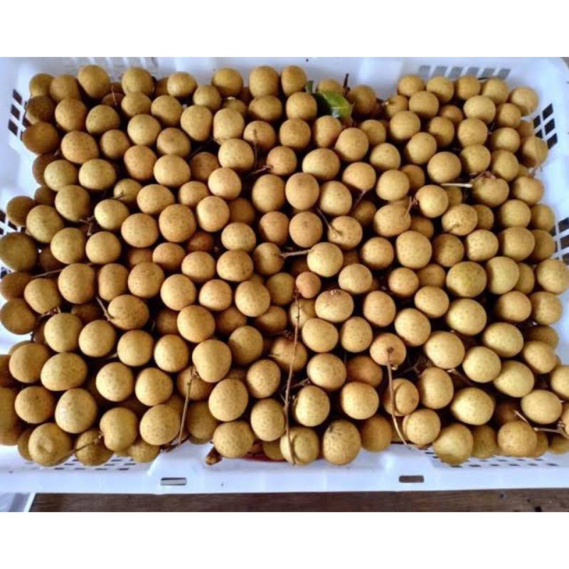

Lengkeng longan manis 1KG