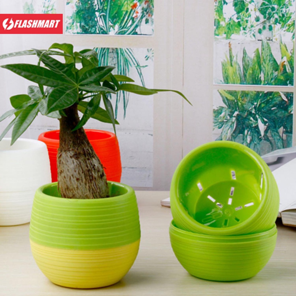 Flashmart Mini Pot Bunga Hias Kaktus Tanaman - 5pcs