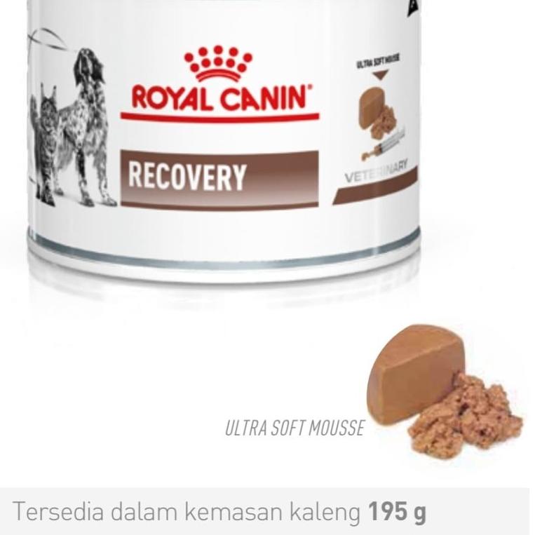 

◄ Royal Canin Recovery Kaleng 195gr ➧