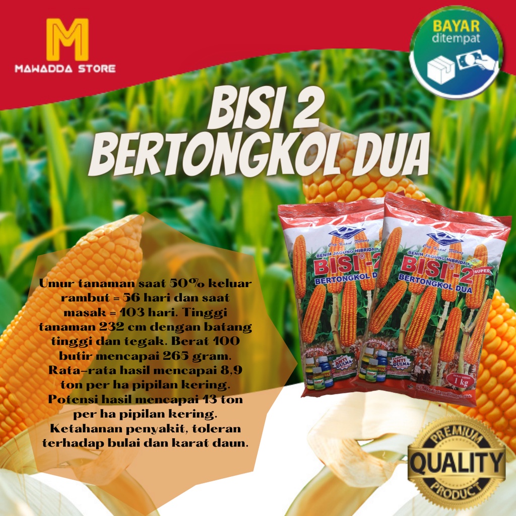 Biji Jagung Bisi 2 1KG Biji Jagung Hibrida