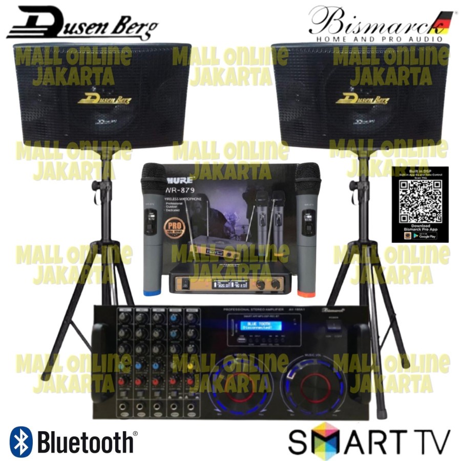 Paket karaoke Dusenberg 10 inch Sound system smart ampli bismarck