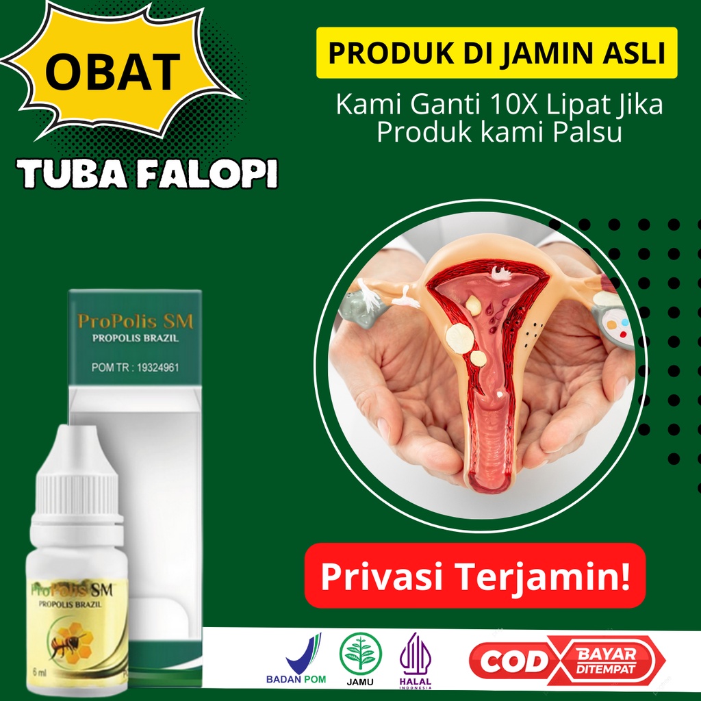 Propolis SM Obat Tuba Falopi Tersumbat Penyumbatan Saluran Tuba Falopi