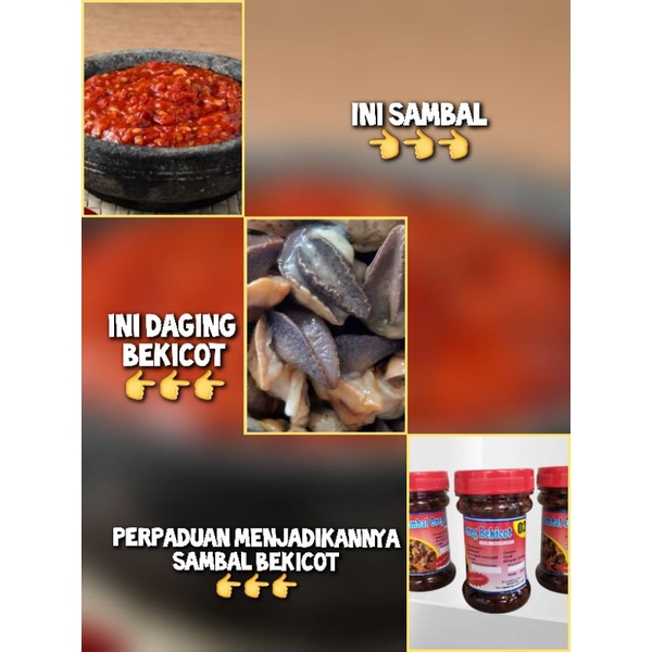 

SAMBAL 02 - SAMBAL OREG BEKICOT ISI 200 GRAM
