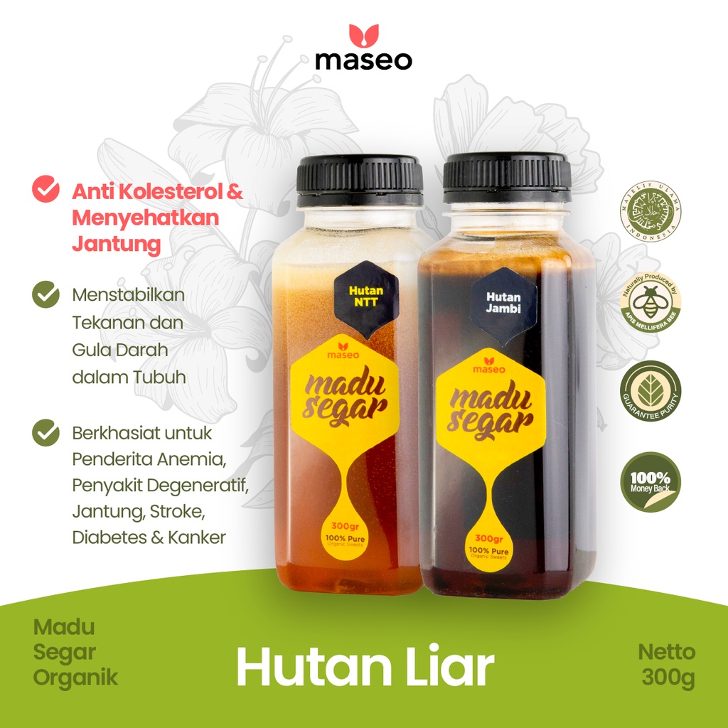 

Madu Hutan Liar 300gr Maseo Murni Asli 100% Pure Program Hamil Promil Penyubur Kandungan Fresh Alami Honey Obat Herbal Diabetes Gula Darah Stroke Setruk Setroke Imun Booster Buster Penambah Daya Tahan Tubuh Pereda Flu Pilek Radang Tenggorokan Maseo