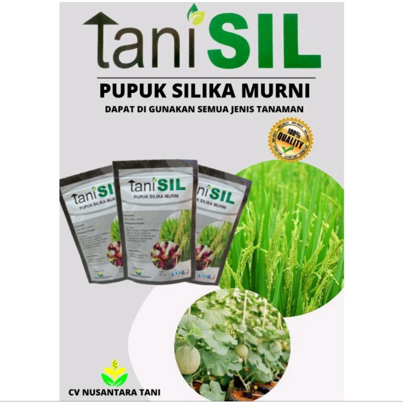 TANI SIL / TANISIL 100gr 250gr 500gr PUPUK SILIKA MURNI PUPUK SILIKA